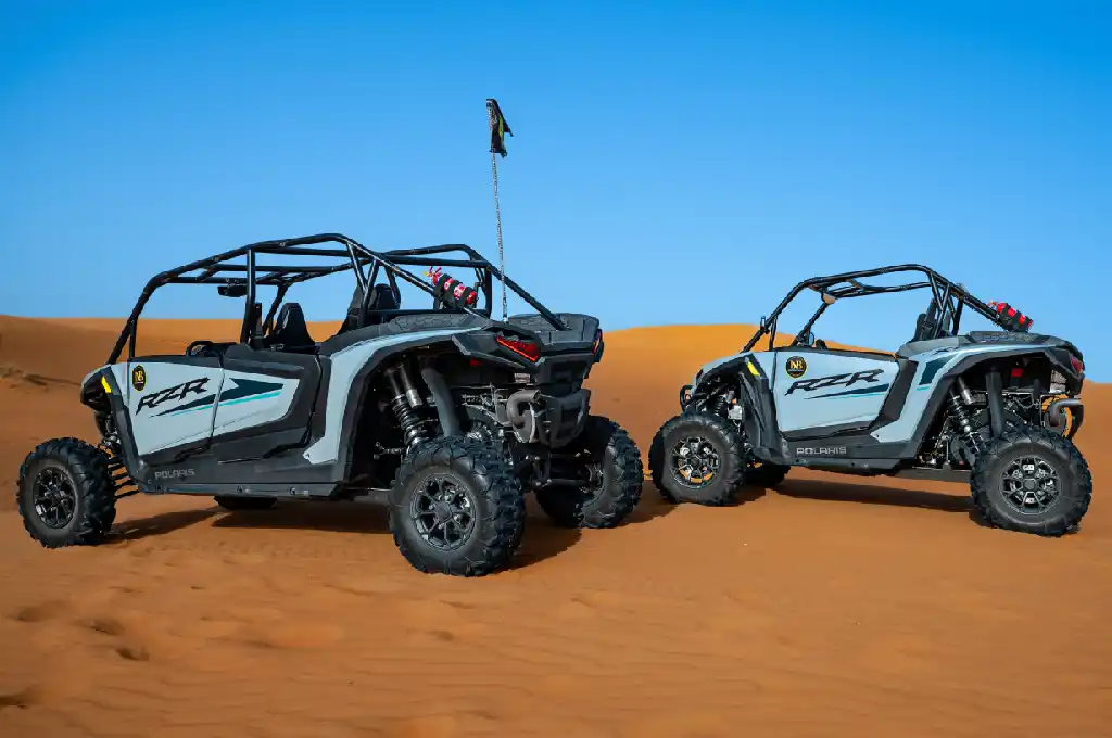 Red Dunes Afternoon Buggy Tour (Family) (1)